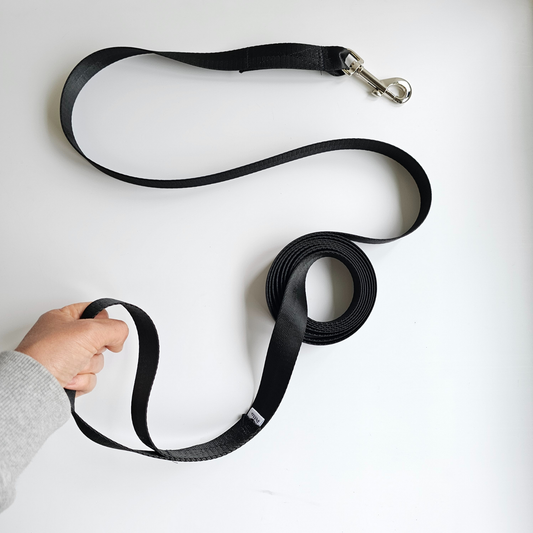 Correa larga para paseos de perros - 3 a 10 metros